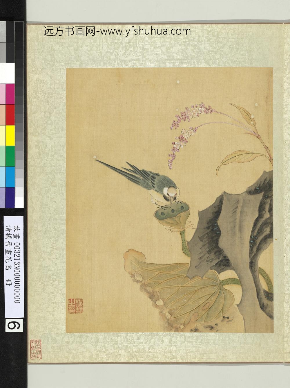 清杨晋画花鸟册莲房鹡鸰