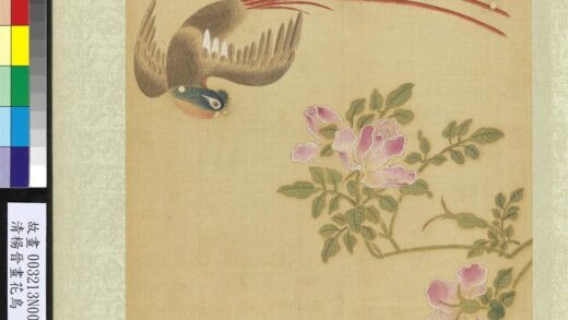清杨晋画花鸟册蔷薇绶带鸟.jpg