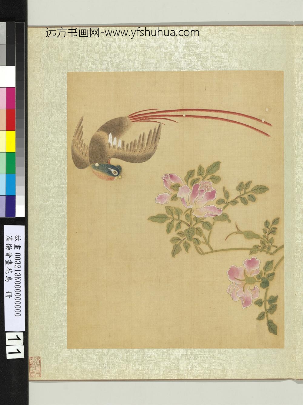 清杨晋画花鸟册蔷薇绶带鸟