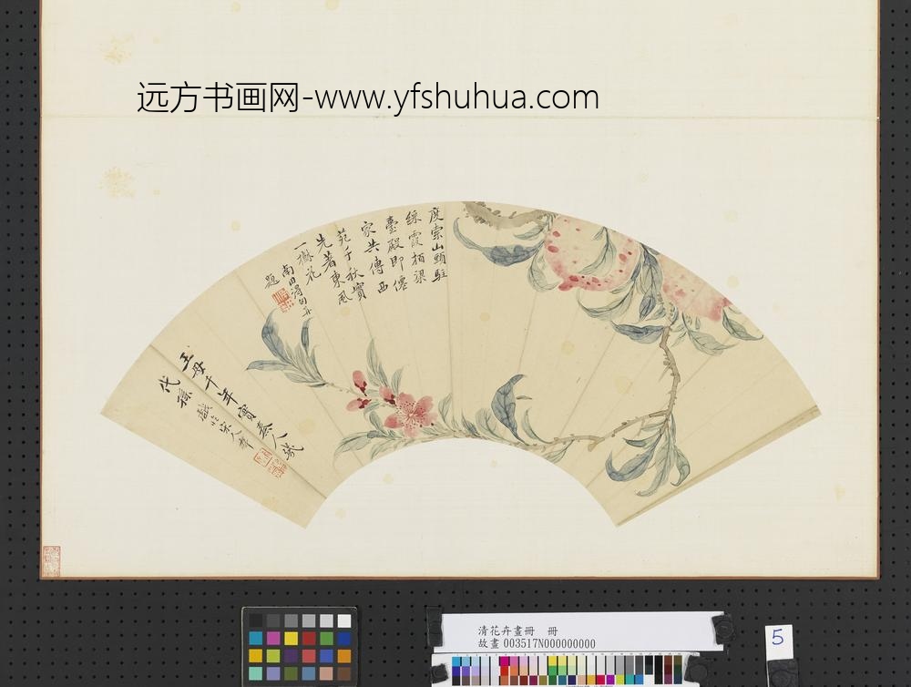 清花卉画册清恽寿平桃花