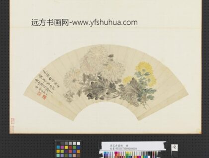 清花卉画册清恽寿平菊花.jpg