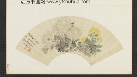 清花卉画册清恽寿平菊花.jpg
