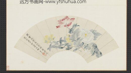 清花卉画册清恽寿平虞美人.jpg