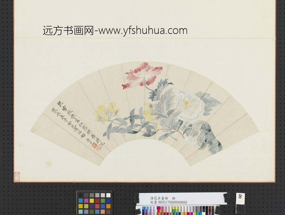 清花卉画册清恽寿平虞美人