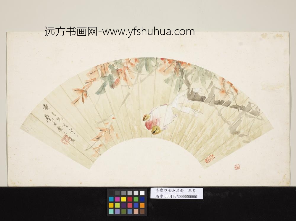 清虚谷金鱼扇面单片