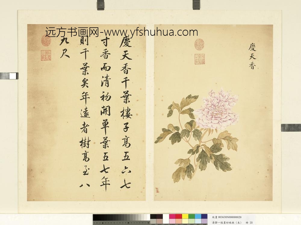 清邹一桂墨妙珠林（未）册庆天香