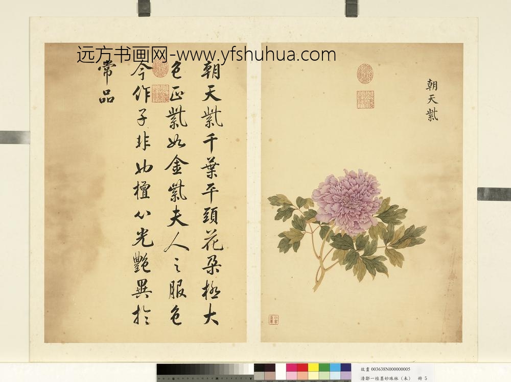 清邹一桂墨妙珠林（未）册朝天紫