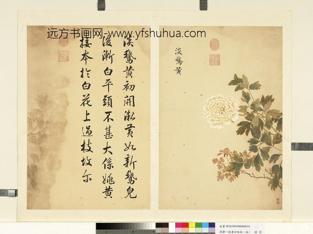 清邹一桂墨妙珠林（未）册淡鹅黄