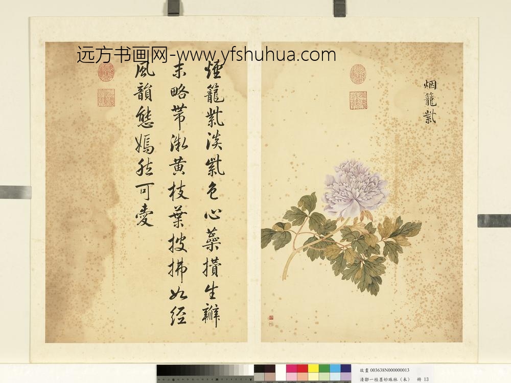 清邹一桂墨妙珠林（未）册烟笼紫