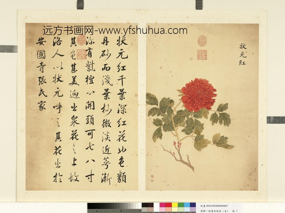 清邹一桂墨妙珠林（未）册状元红