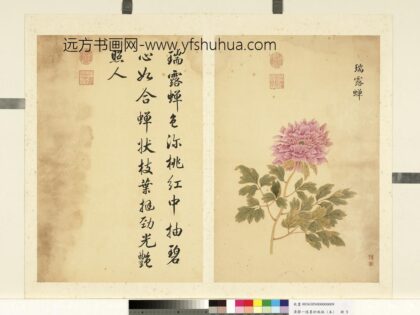 清邹一桂墨妙珠林（未）册瑞露蝉.jpg