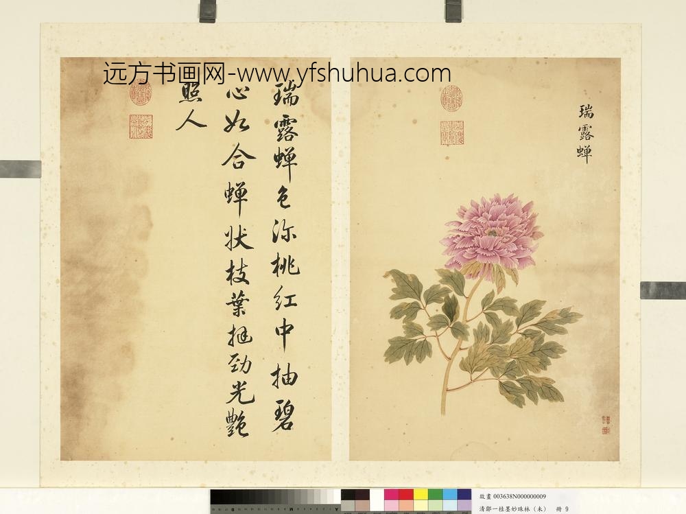 清邹一桂墨妙珠林（未）册瑞露蝉