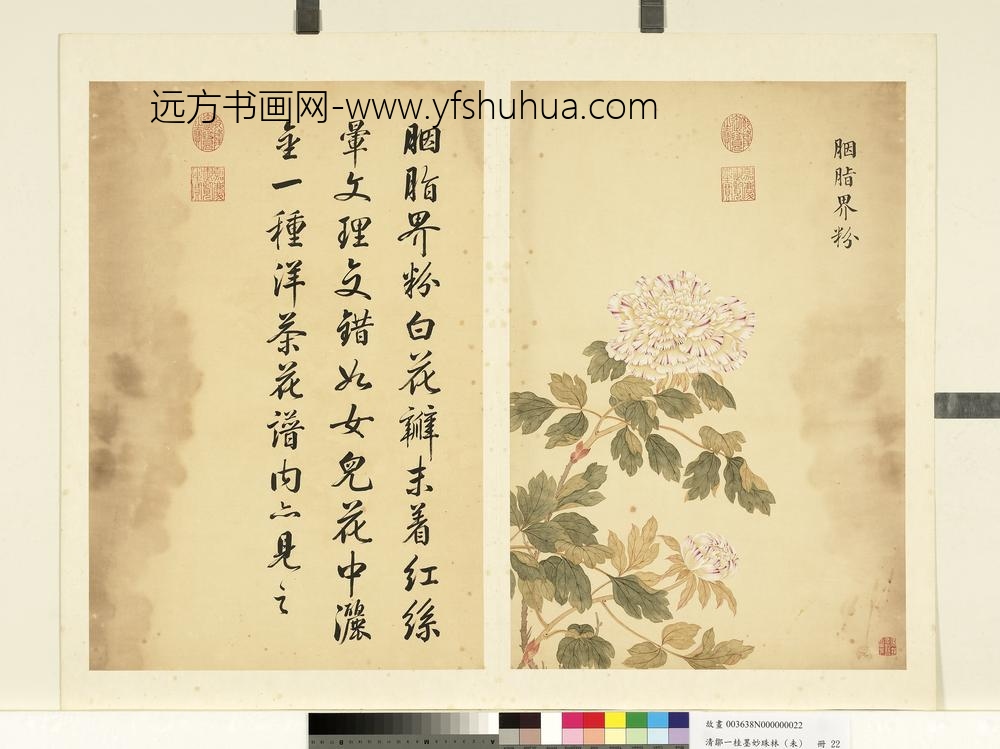 清邹一桂墨妙珠林（未）册胭脂界粉