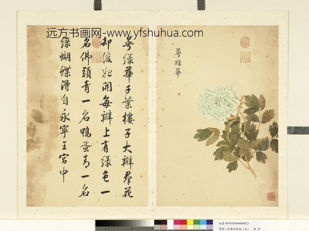 清邹一桂墨妙珠林（未）册萼绿华