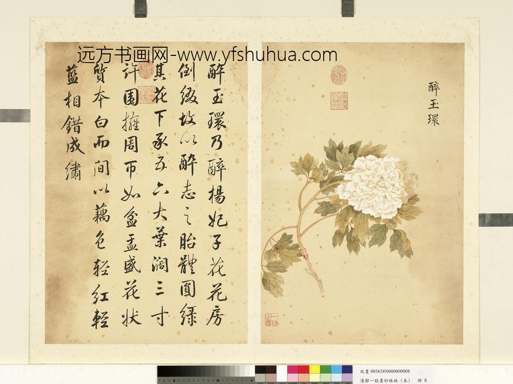 清邹一桂墨妙珠林（未）册醉玉环