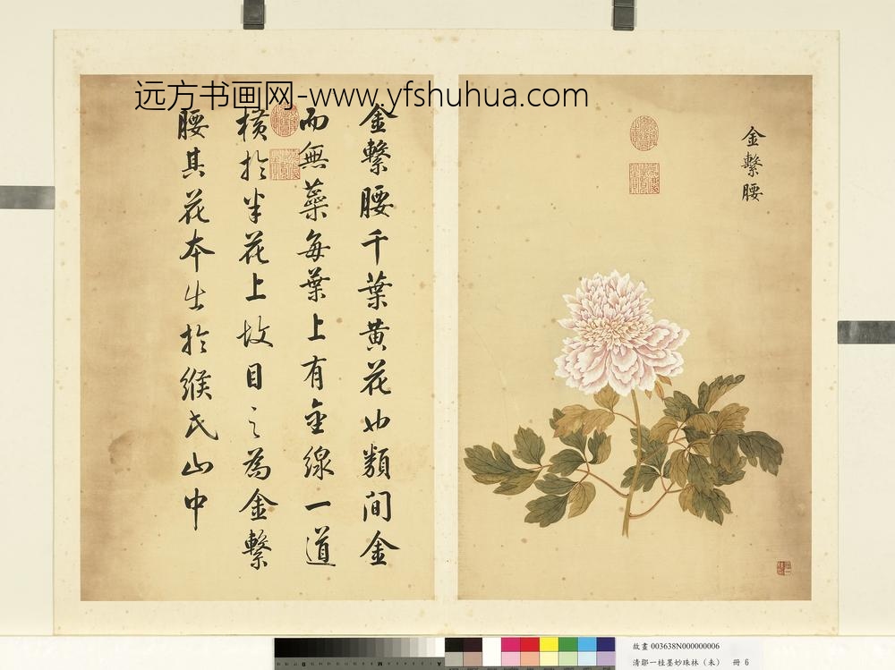 清邹一桂墨妙珠林（未）册金系腰