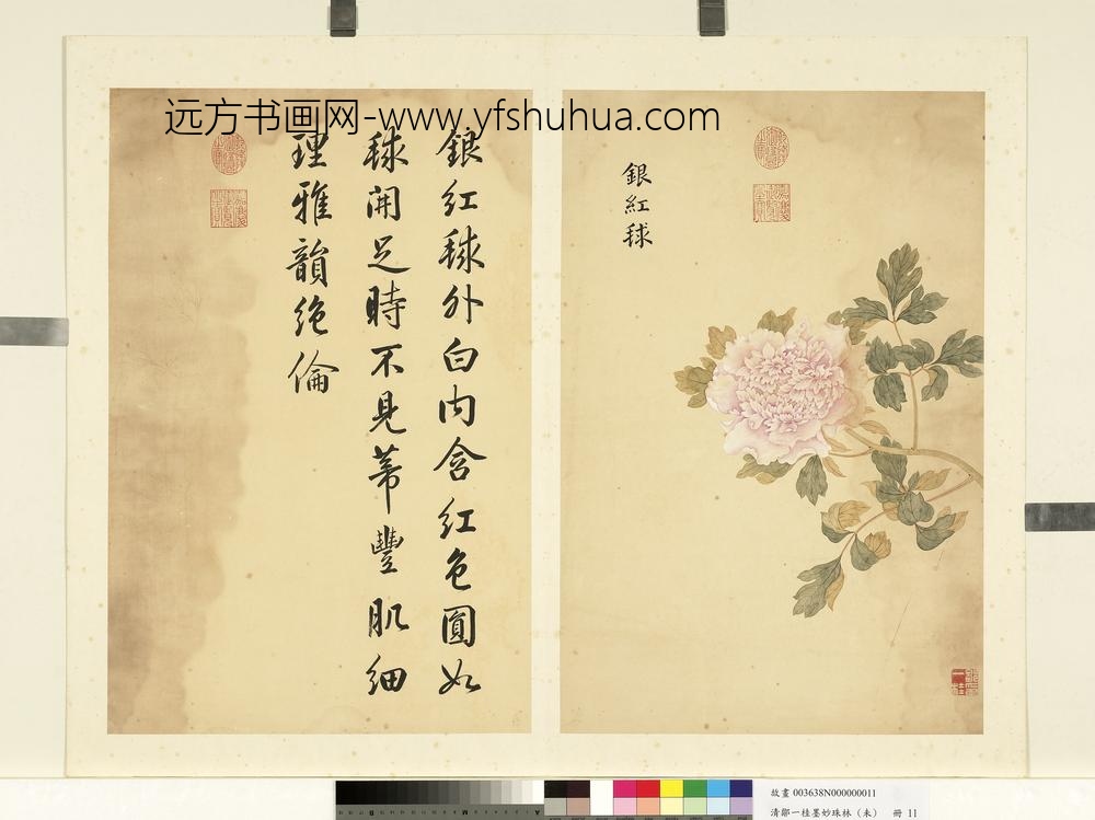 清邹一桂墨妙珠林（未）册银红球