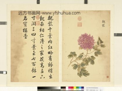 清邹一桂墨妙珠林（未）册魏紫.jpg