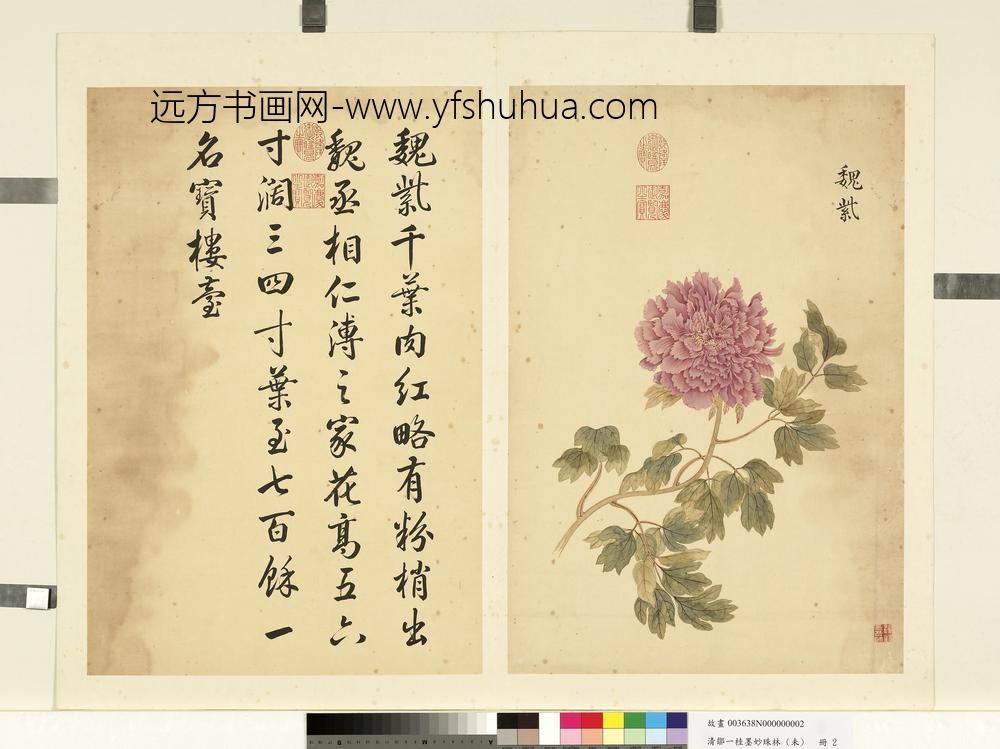 清邹一桂墨妙珠林（未）册魏紫