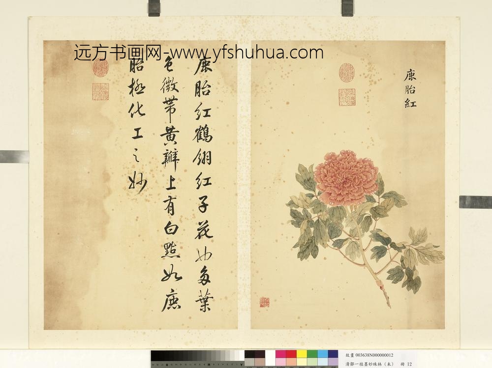 清邹一桂墨妙珠林（未）册鹿胎红
