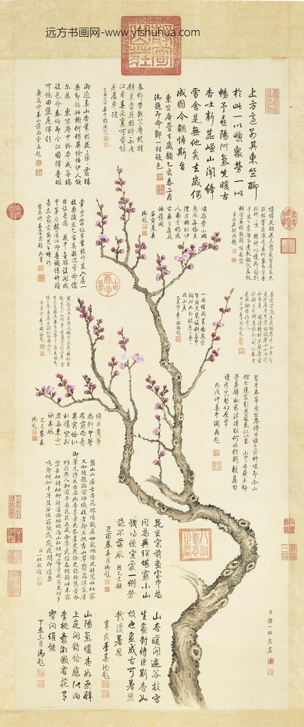 清邹一桂杏花清高宗御题轴