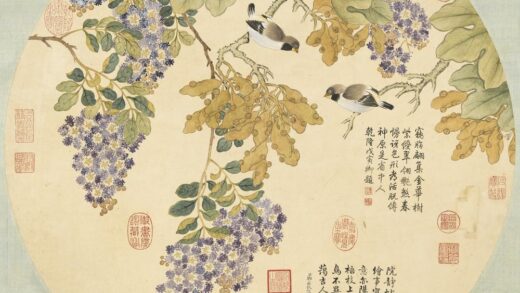 清邹一桂梧桐紫薇轴.jpg