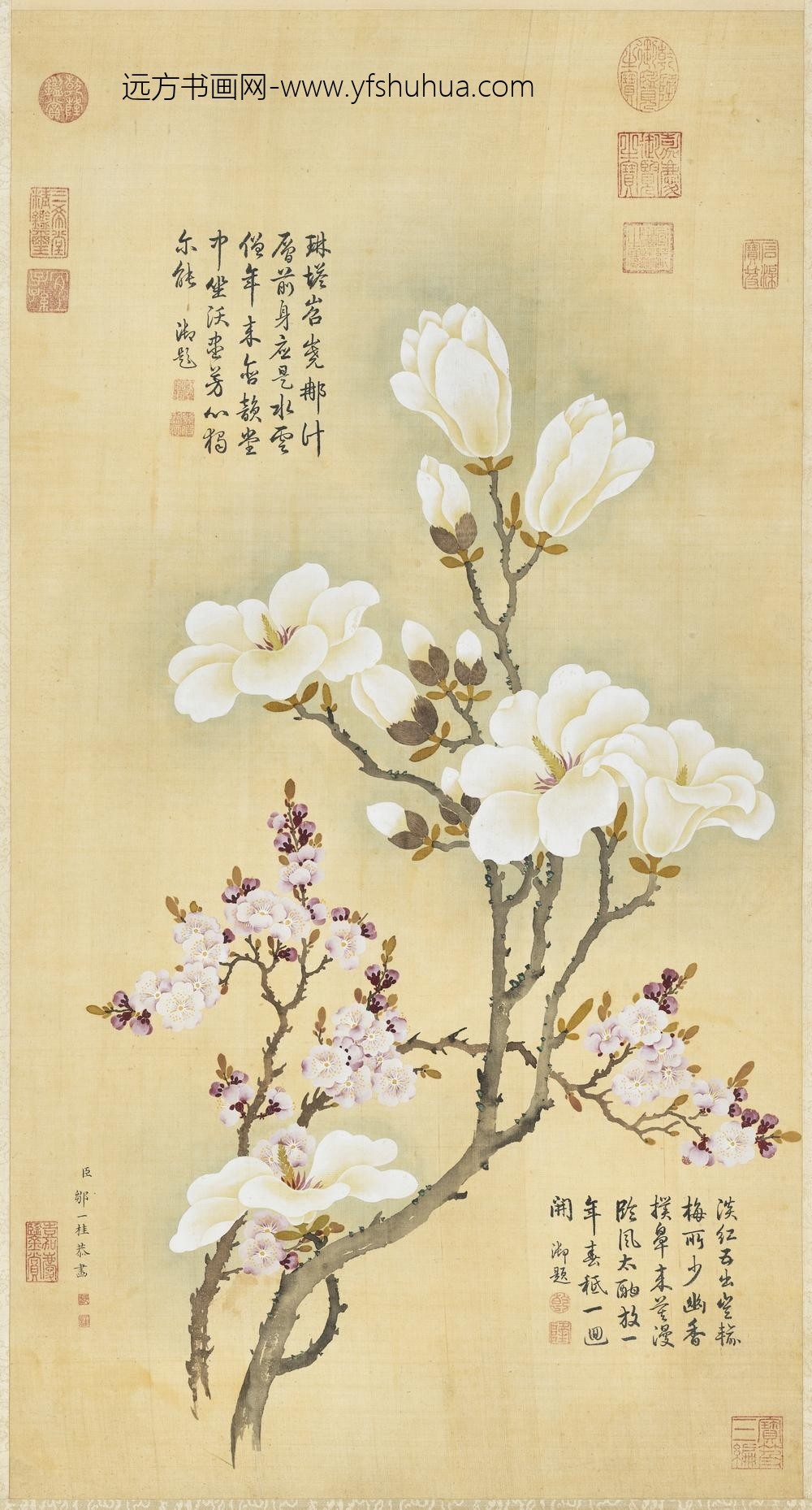清邹一桂玉兰红杏轴