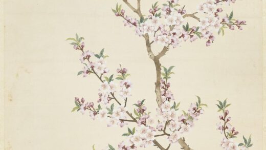 清邹一桂画桃花蔷薇轴.jpg