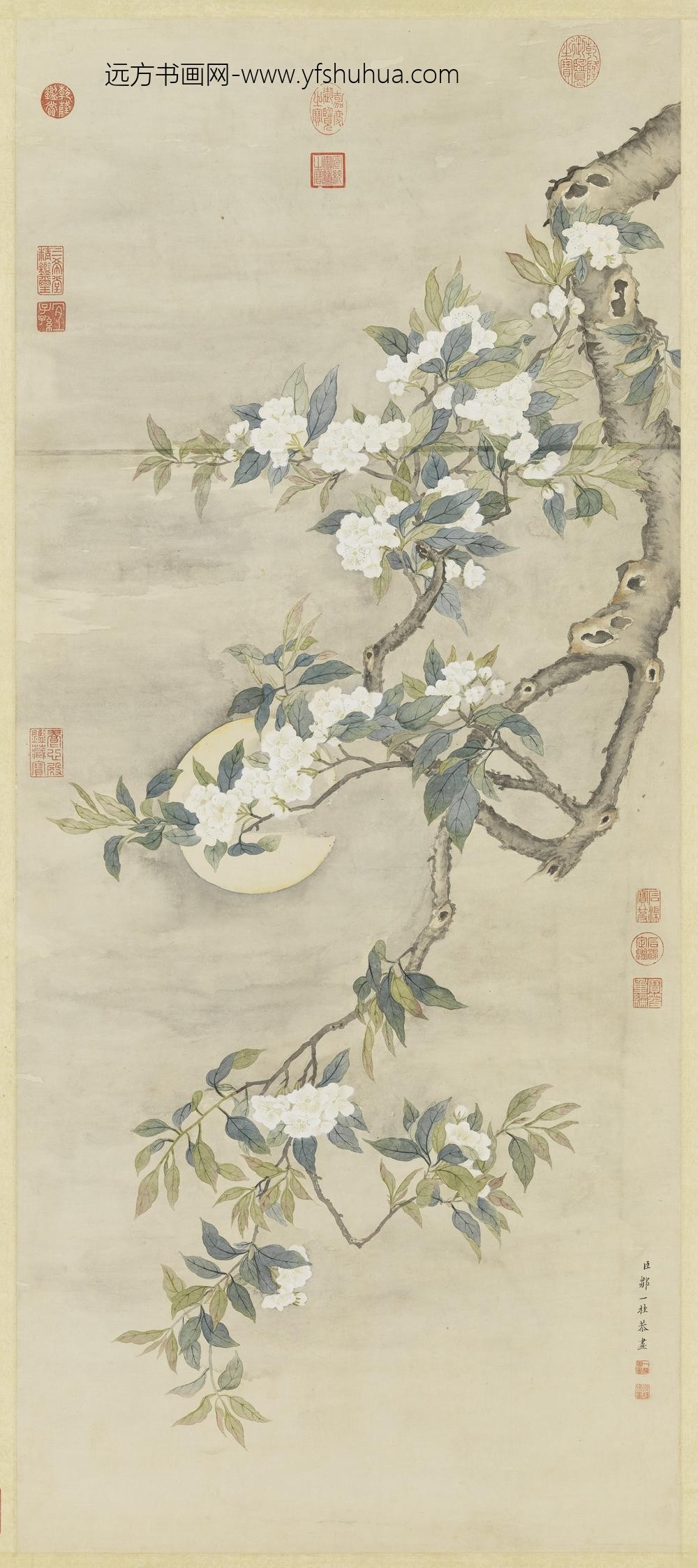 清邹一桂画梨花夜月轴