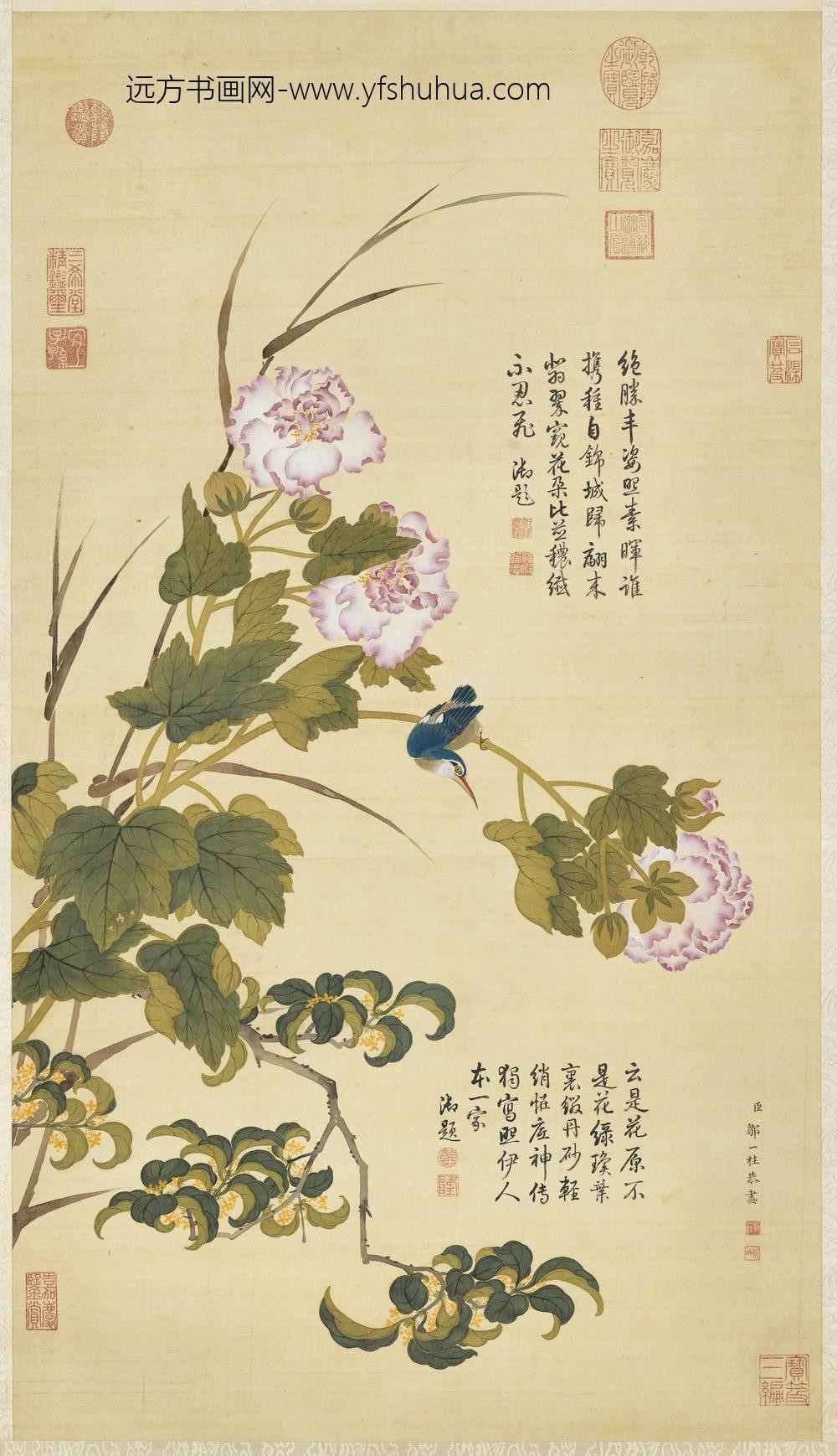清邹一桂画芙蓉丹桂轴