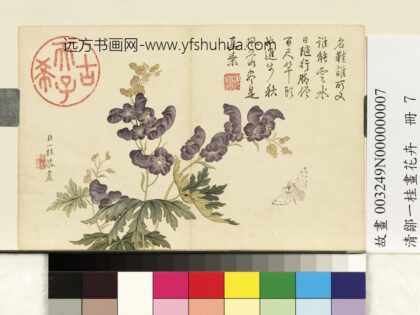 清邹一桂画花卉册僧鞋菊.jpg