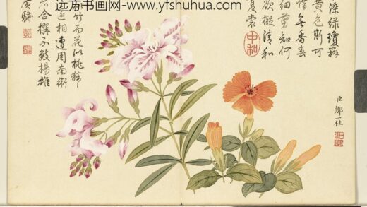 清邹一桂画花卉册剪春罗夹竹桃.jpg