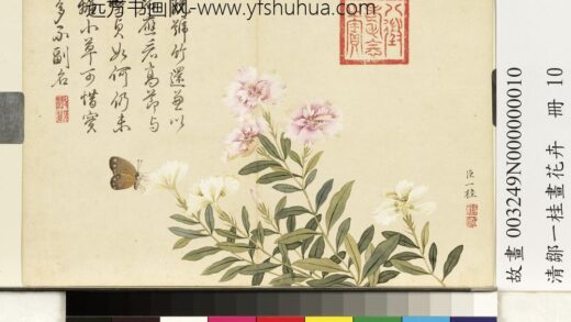 清邹一桂画花卉册剪秋罗.jpg