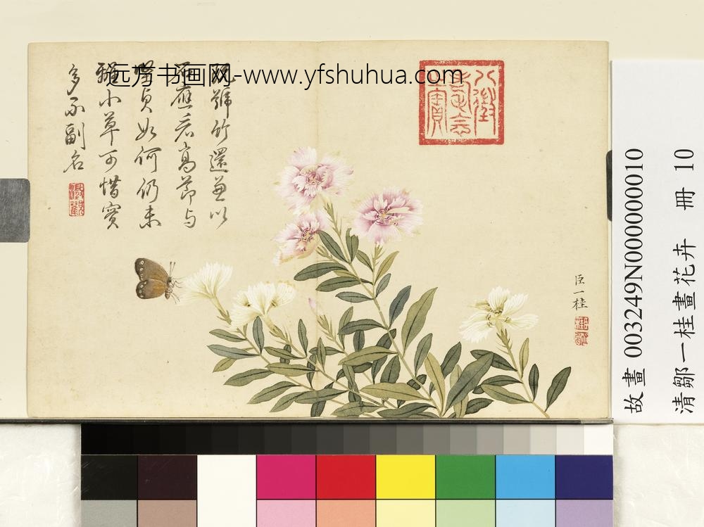 清邹一桂画花卉册剪秋罗