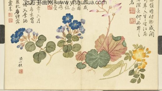 清邹一桂画花卉册望江南虎耳草翠梅.jpg