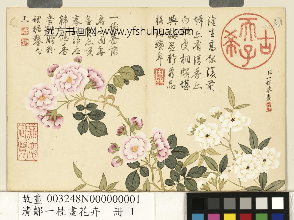 清邹一桂画花卉册木香十姊妹