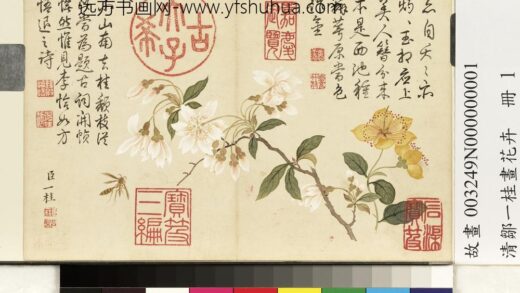 清邹一桂画花卉册李花金丝桃.jpg