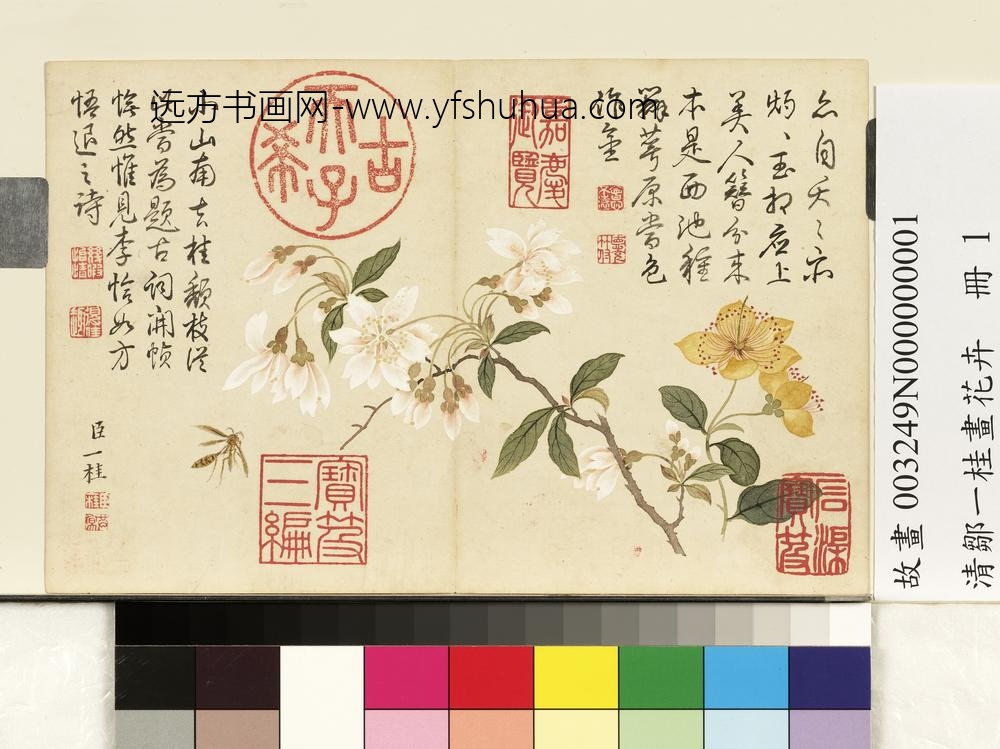 清邹一桂画花卉册李花金丝桃