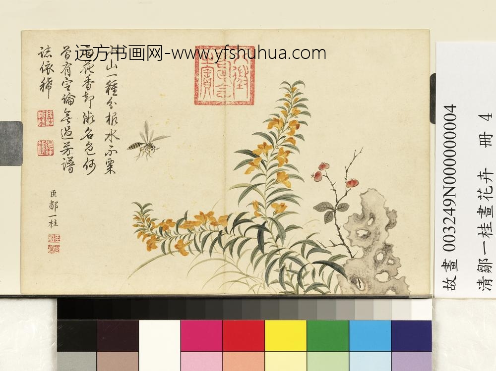 清邹一桂画花卉册水木樨