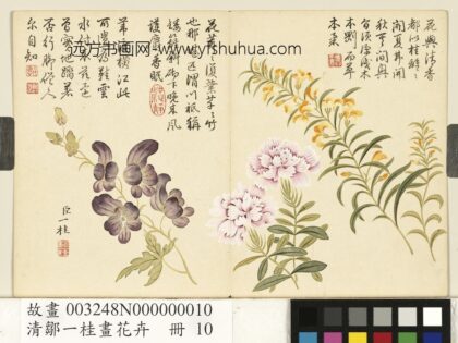 清邹一桂画花卉册水木樨石竹僧鞋菊.jpg