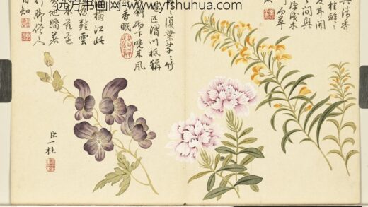 清邹一桂画花卉册水木樨石竹僧鞋菊.jpg