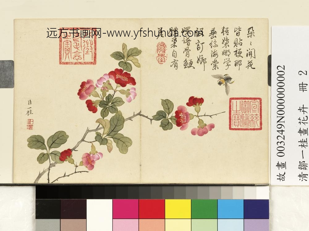 清邹一桂画花卉册海棠