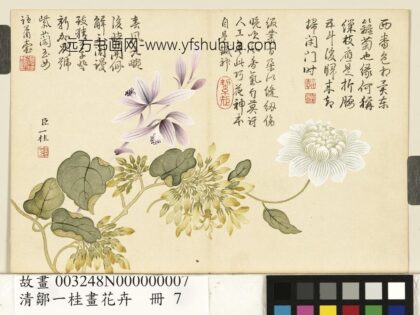清邹一桂画花卉册紫兰夜来香缠枝菊.jpg