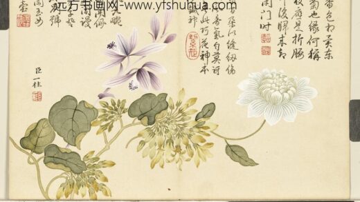 清邹一桂画花卉册紫兰夜来香缠枝菊.jpg
