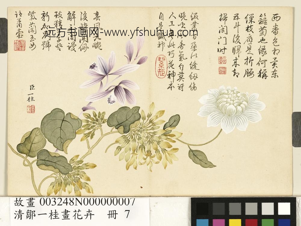 清邹一桂画花卉册紫兰夜来香缠枝菊
