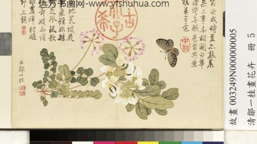 清邹一桂画花卉册紫花地丁.jpg