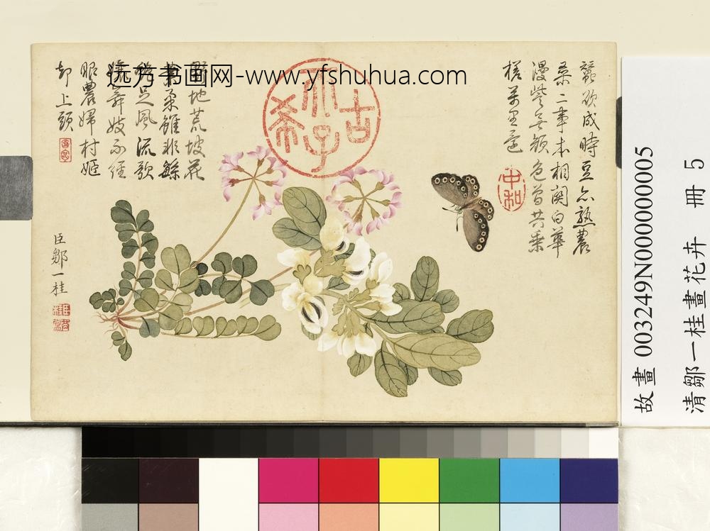 清邹一桂画花卉册紫花地丁