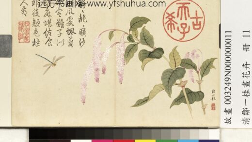 清邹一桂画花卉册红蓼.jpg