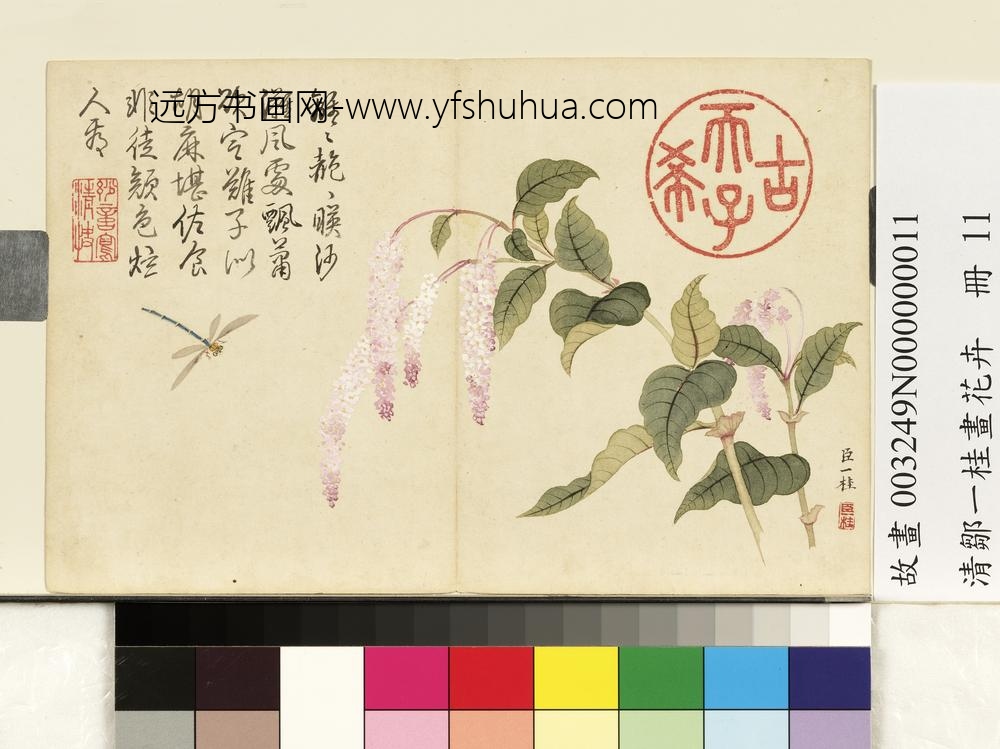 清邹一桂画花卉册红蓼