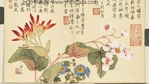 清邹一桂画花卉册美人蕉秋海棠.jpg